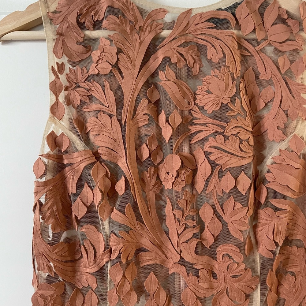 Pankaj & Nidhi Anthropologie Gorgeous Sheer Lace Dress | Small - Picture 2 of 5